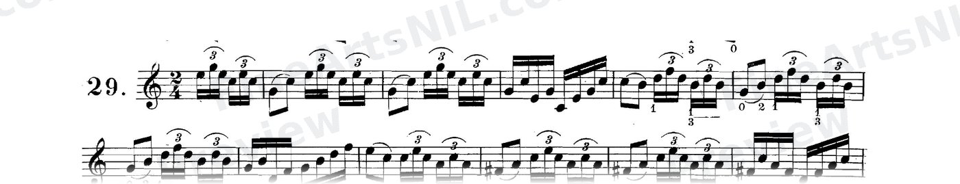 Studies on the Slur (or Legato) / No. 29