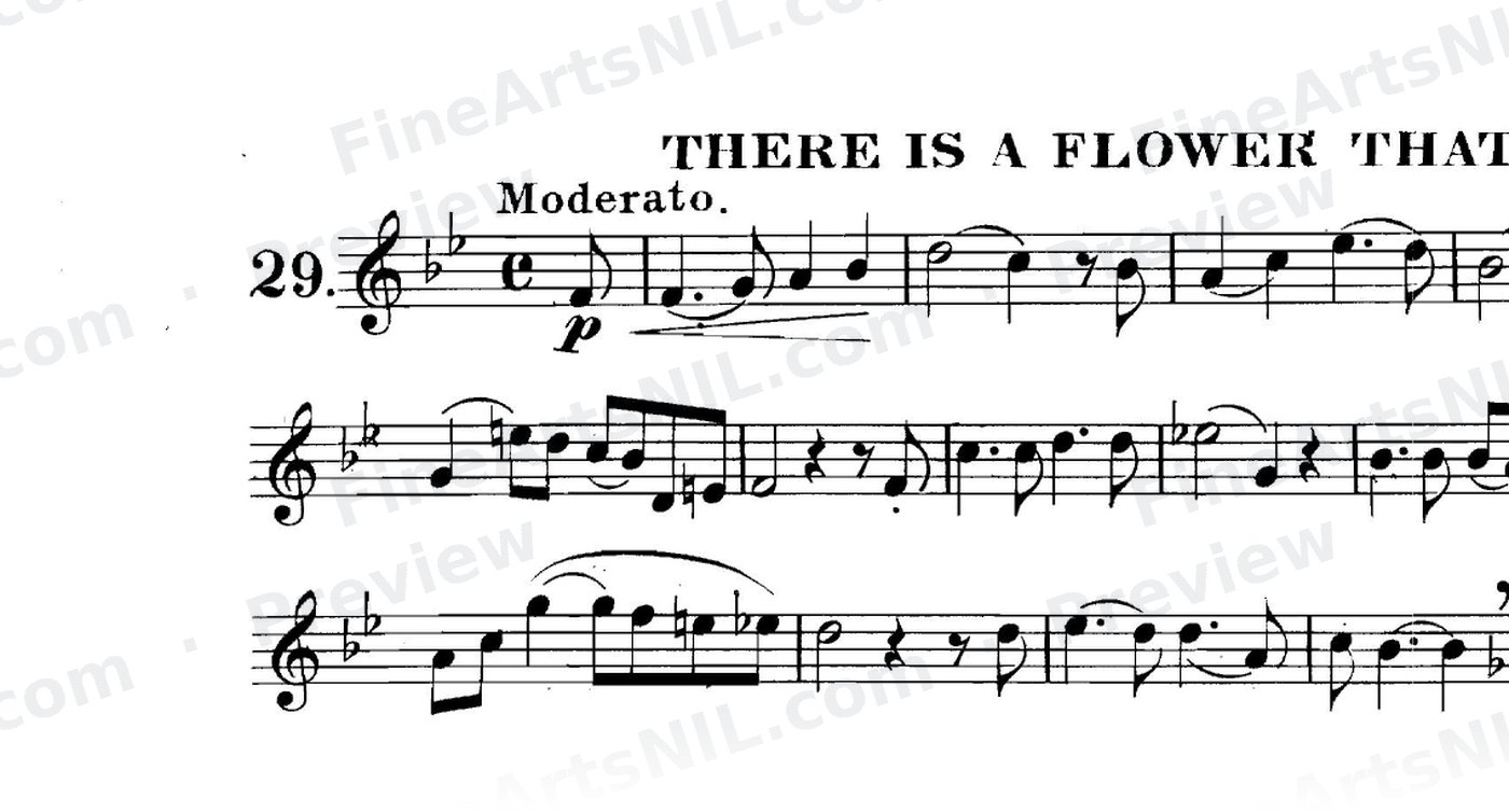The Art of Phrasing / No. 29 / There Is a Flower That Bloometh.