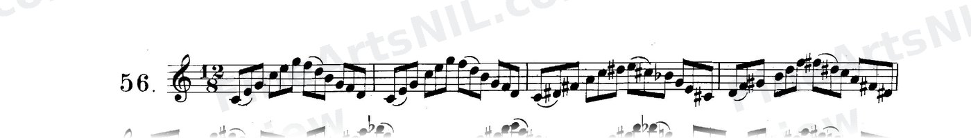 The Chord of the Diminished Seventh / No. 56