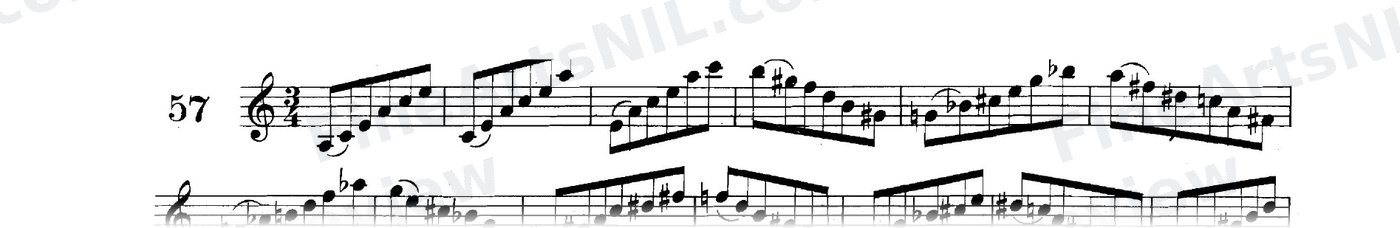 The Chord of the Diminished Seventh / No. 57