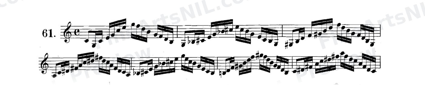 The Chord of the Diminished Seventh / No. 61
