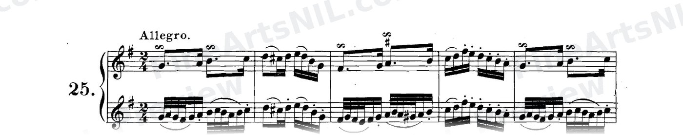 The Gruppetto / No. 25