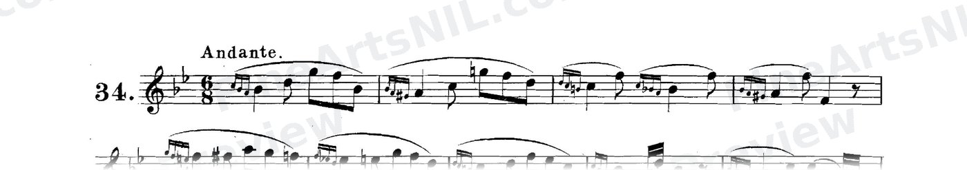 The Gruppetto / No. 34