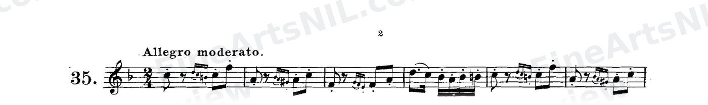 The Gruppetto / No. 35