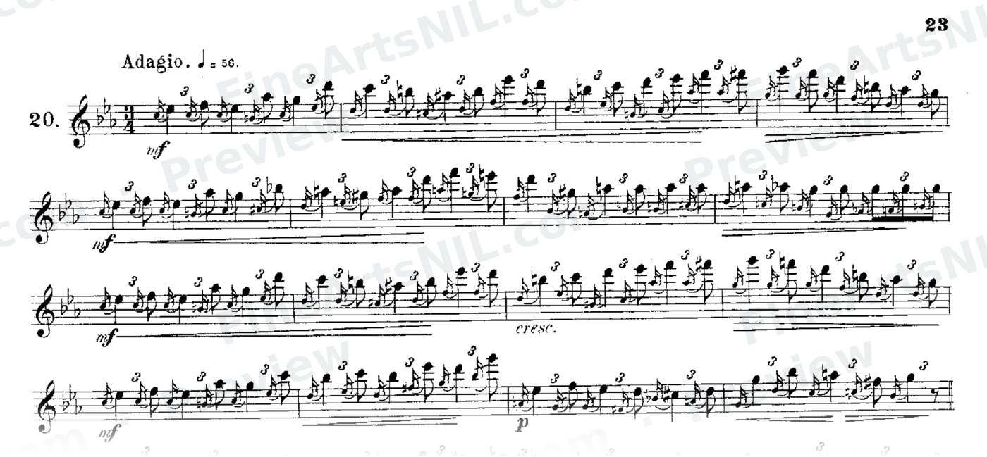 24 Instructive Exercises, Op. 30 / No. 22 / Exercise No. 22