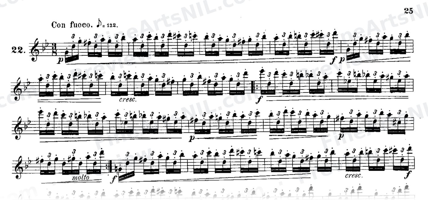 24 Instructive Exercises, Op. 30 / No. 24 / Exercise No. 24