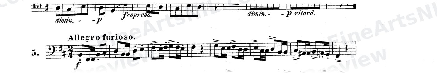 Bassoon Studies, Op. 8 Vol. II / No. 5 / Study No. 5
