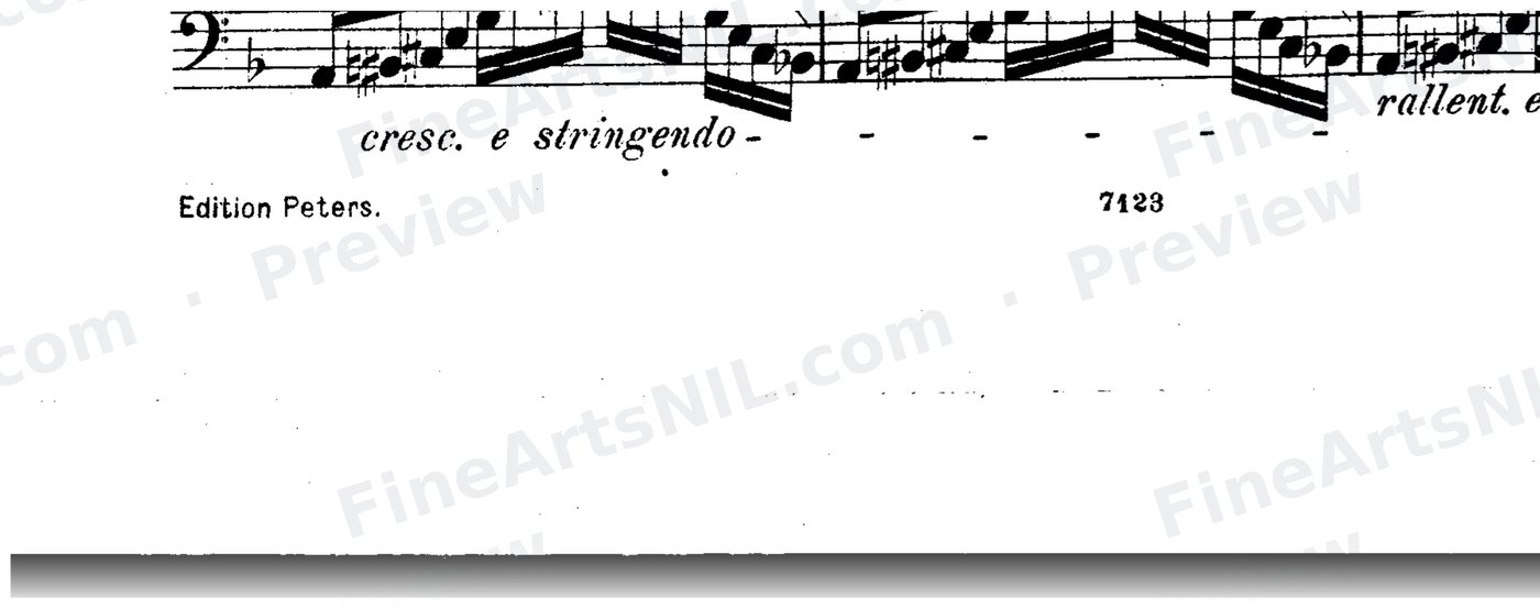 Bassoon Studies, Op. 8 Vol. II / No. 15 / Study No. 15