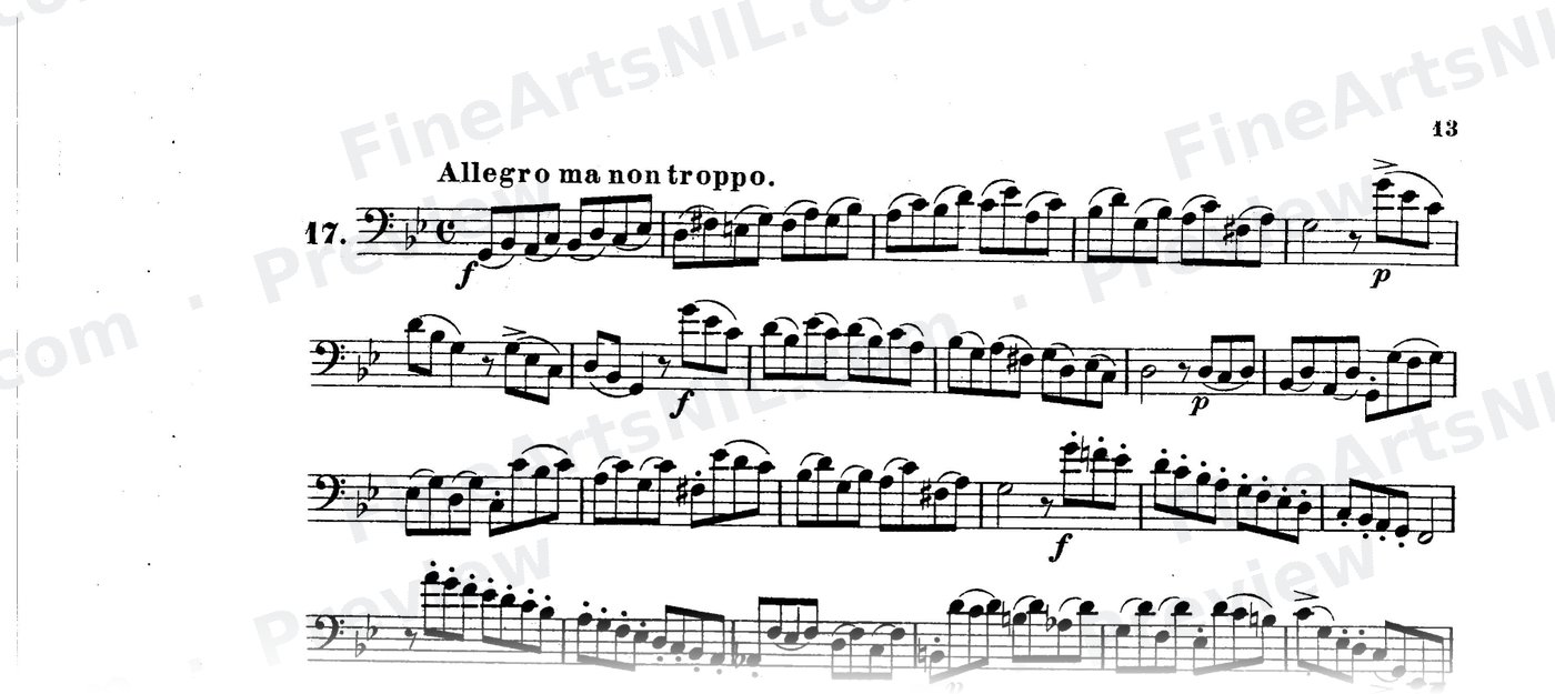 Bassoon Studies, Op. 8 Vol. II / No. 17 / Study No. 17