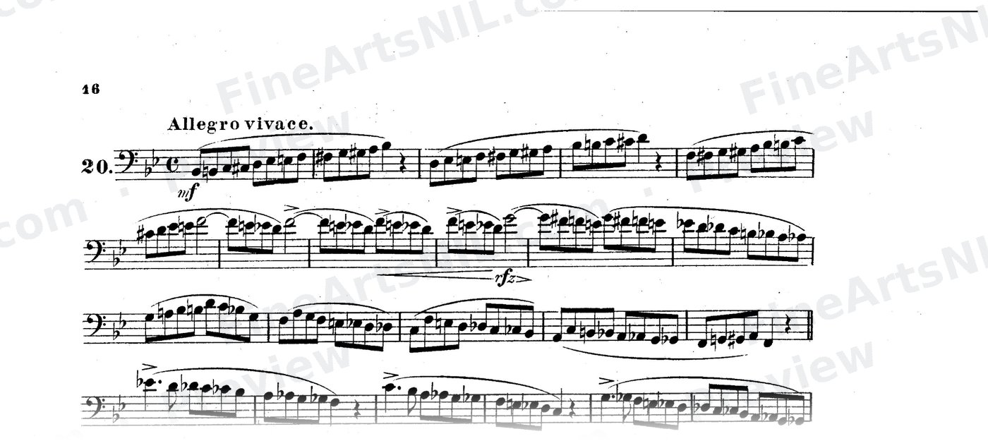 Bassoon Studies, Op. 8 Vol. II / No. 20 / Study No. 20