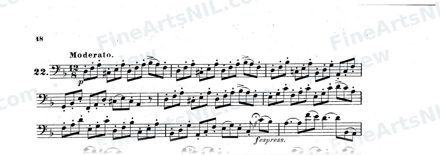 Bassoon Studies, Op. 8 Vol. II / No. 22 / Study No. 22