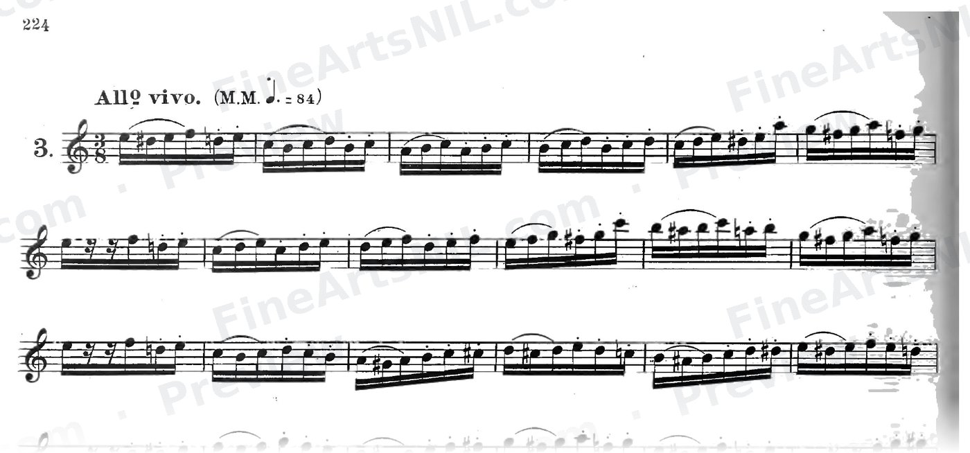 Characteristic Studies / No. 3 / Characteristic Study No. 3