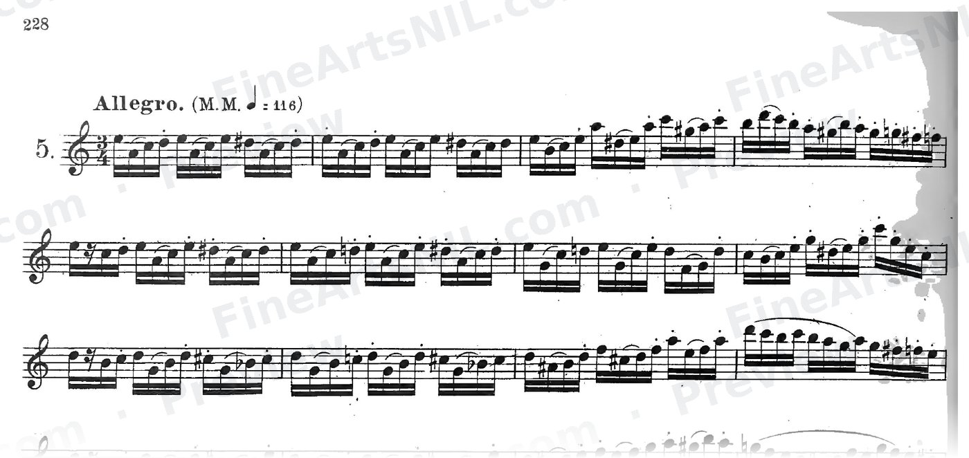 Characteristic Studies / No. 5 / Characteristic Study No. 5