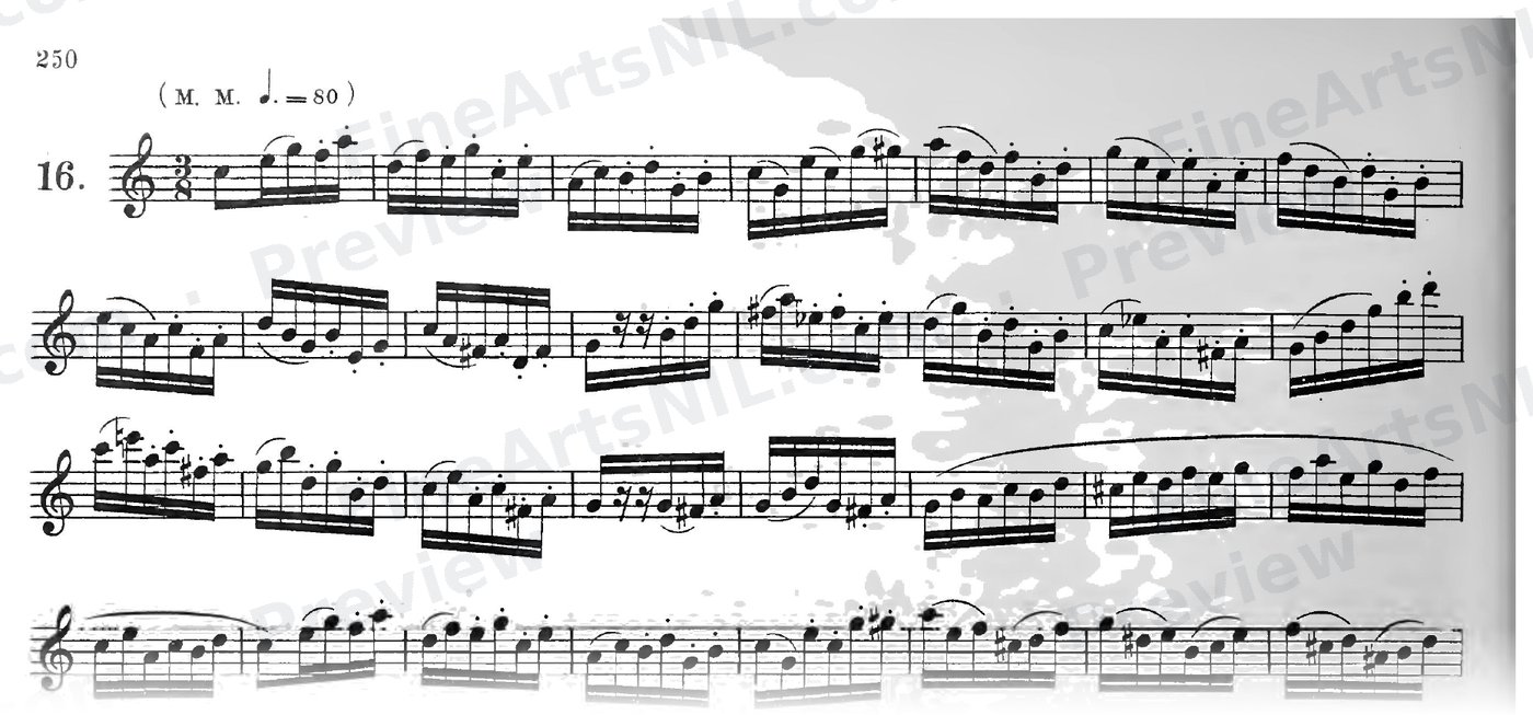Characteristic Studies / No. 16 / Characteristic Study No. 16