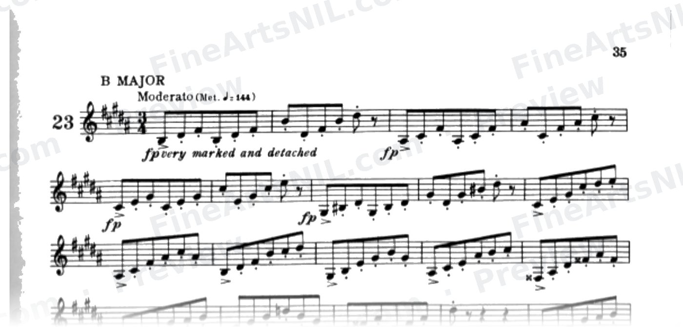 Characteristic Studies / No. 23 / Characteristic Study No. 23