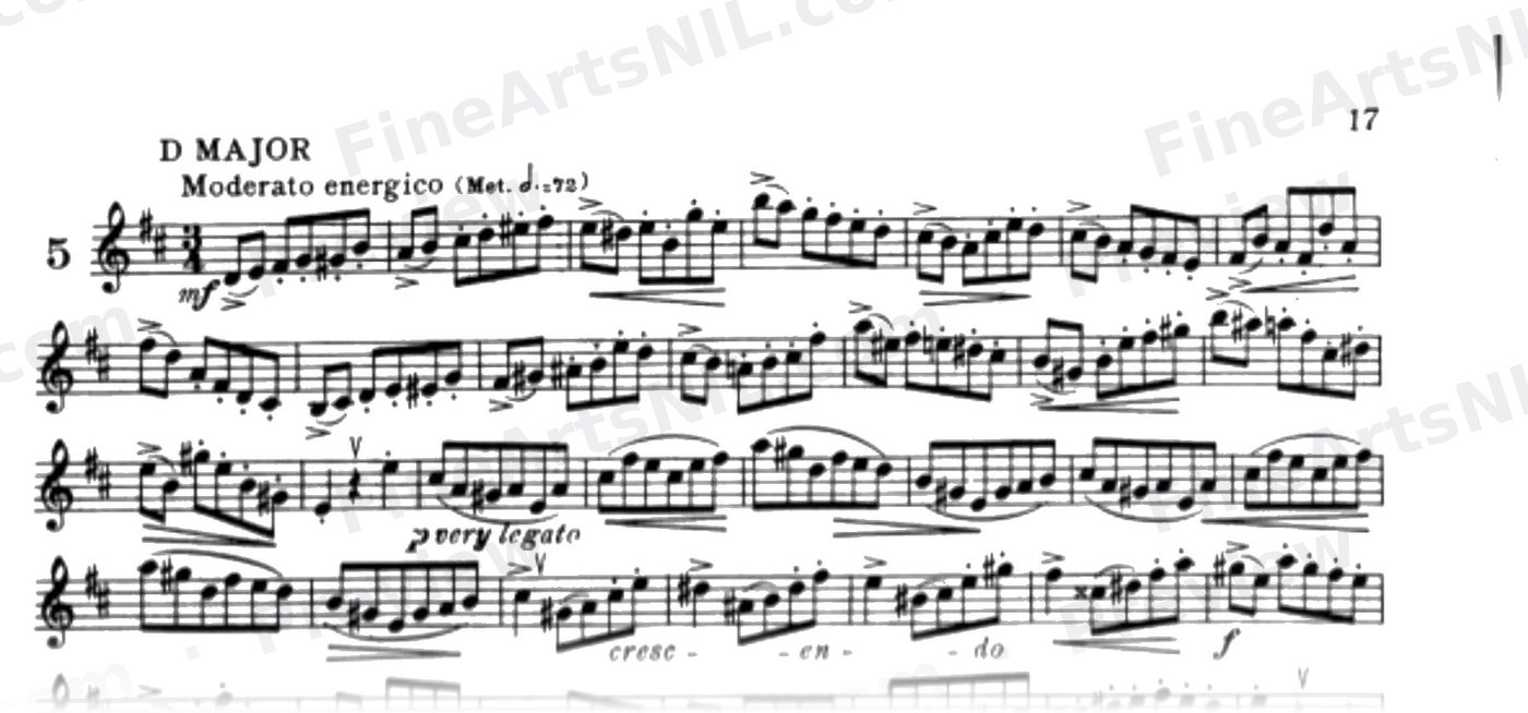 Characteristic Studies / No. 5 / Characteristic Study No. 5