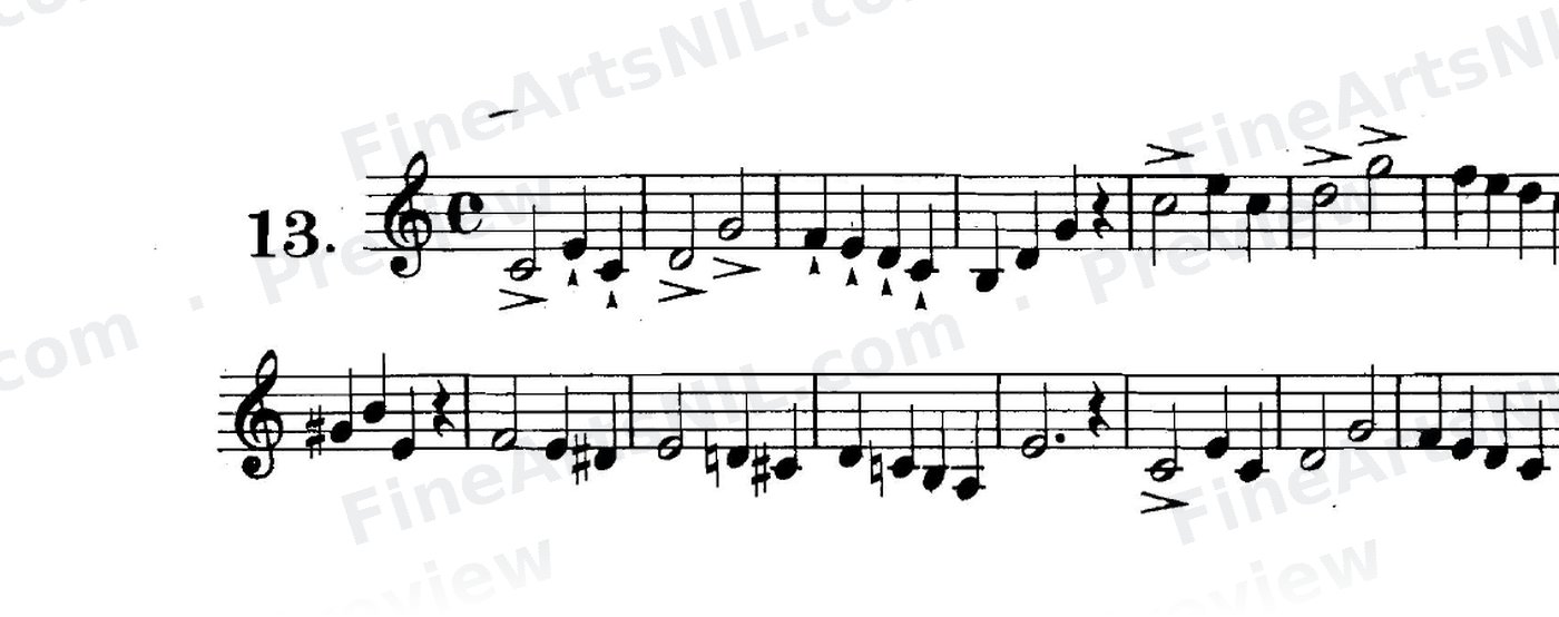 First Studies / No. 13