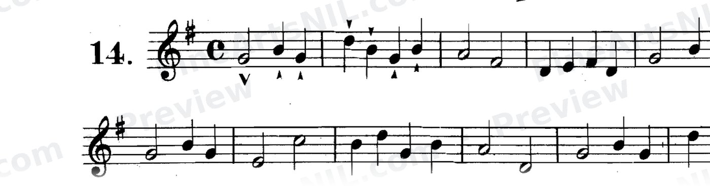 First Studies / No. 14
