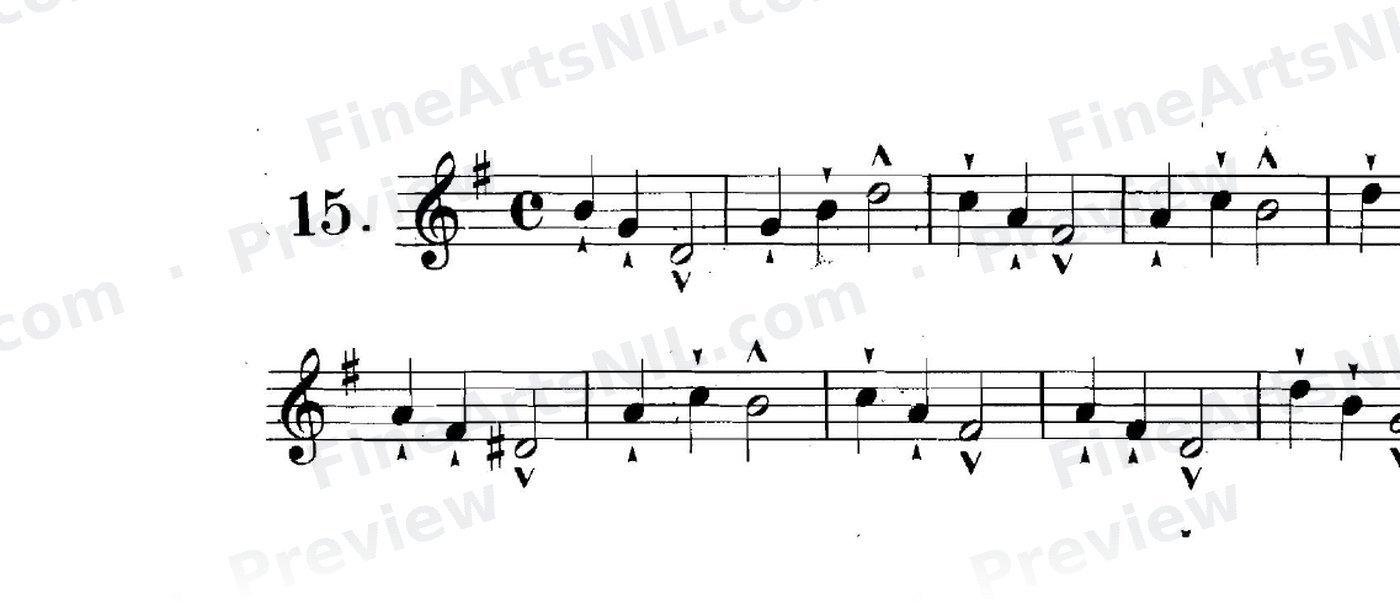 First Studies / No. 15