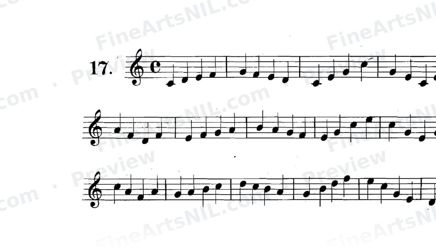 First Studies / No. 17