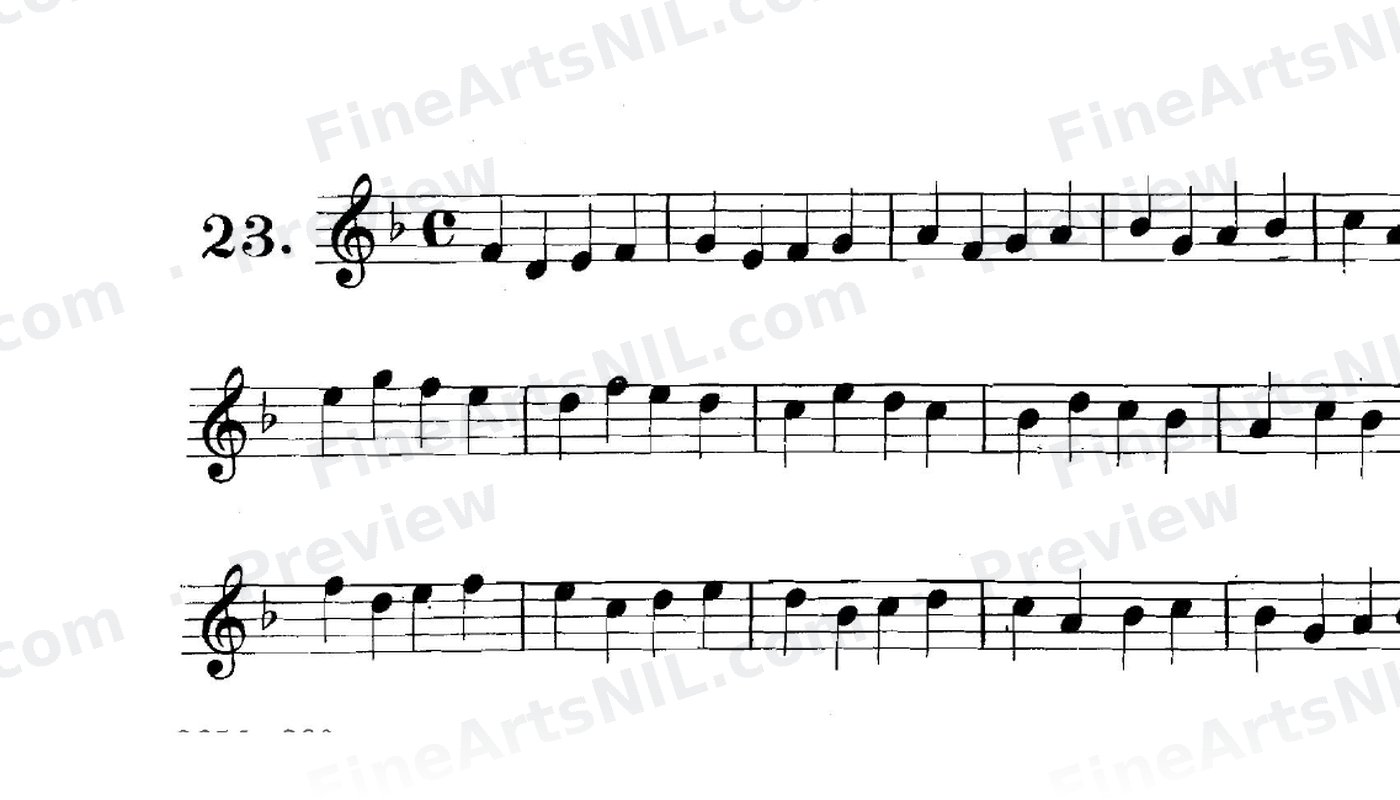 First Studies / No. 23