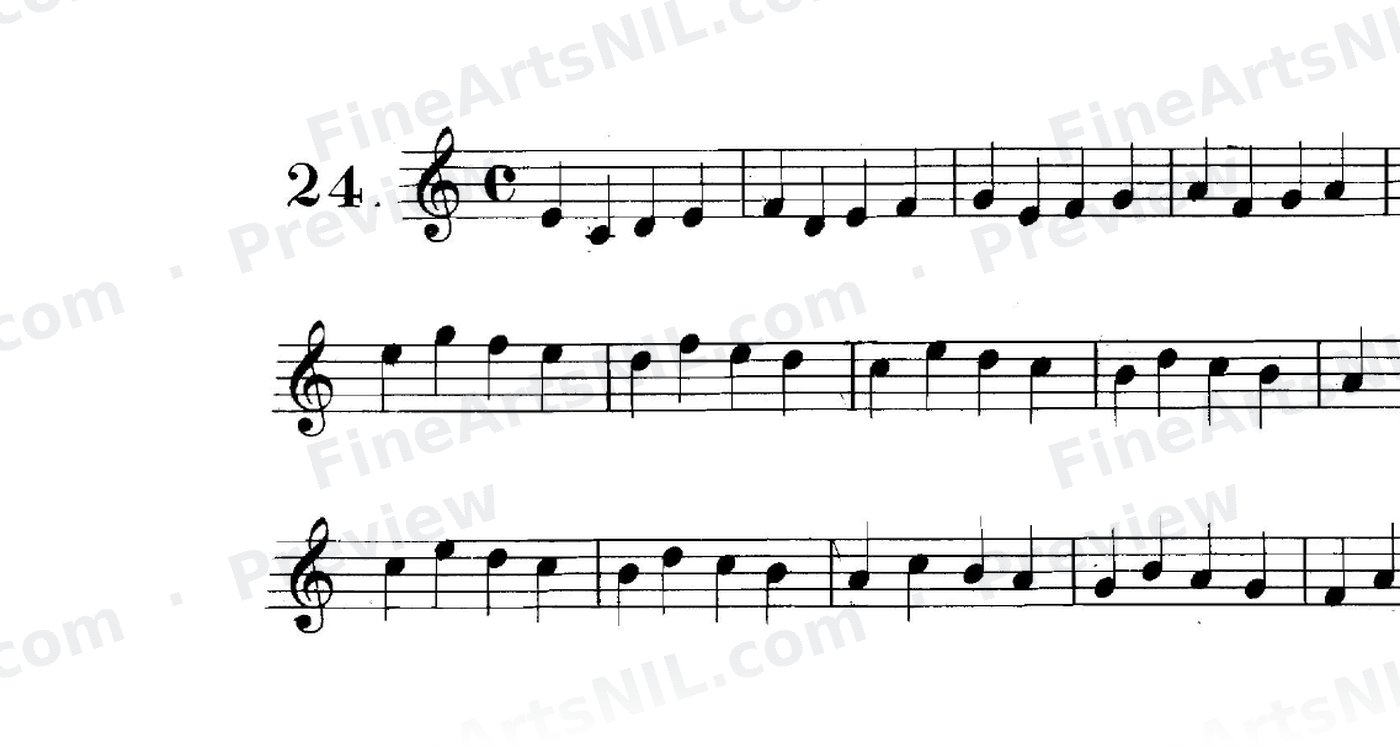 First Studies / No. 24