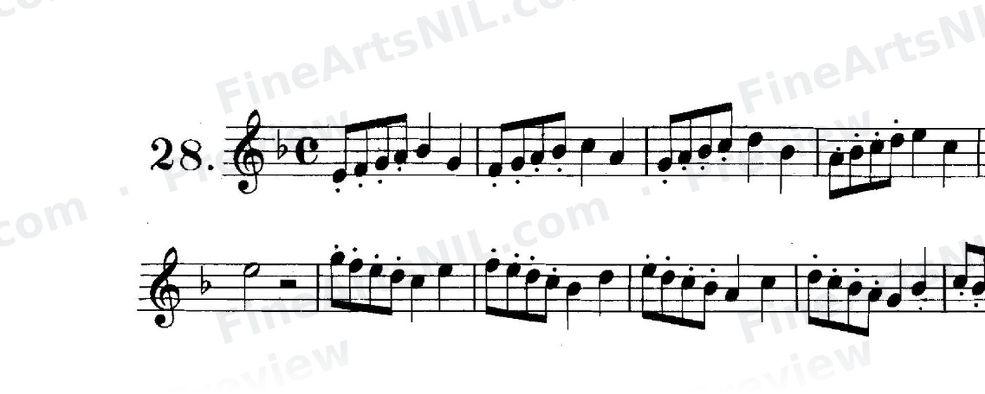 First Studies / No. 28