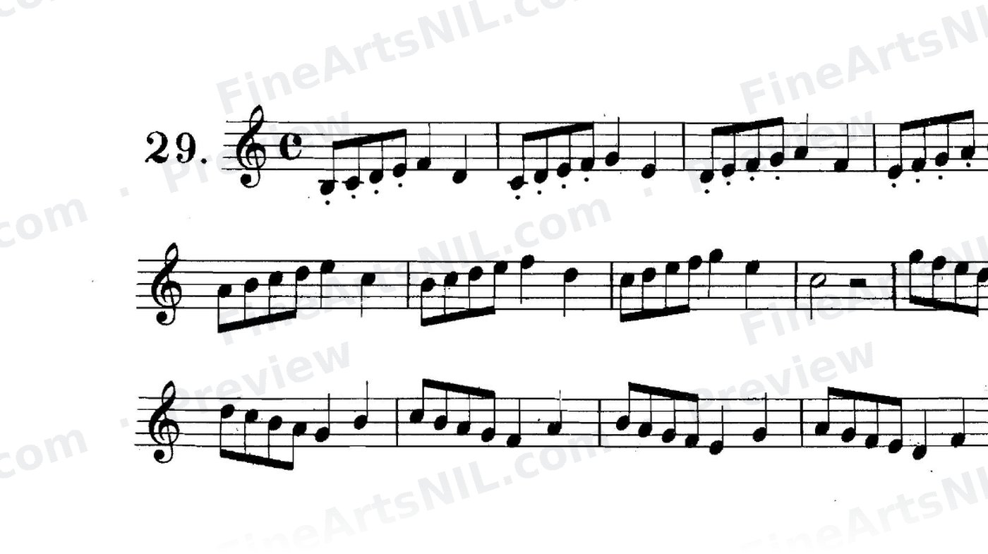 First Studies / No. 29