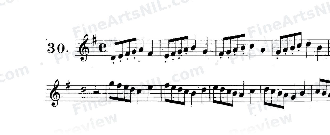 First Studies / No. 30