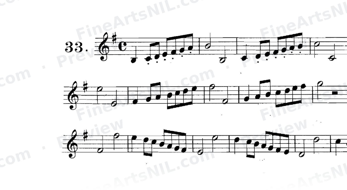 First Studies / No. 33