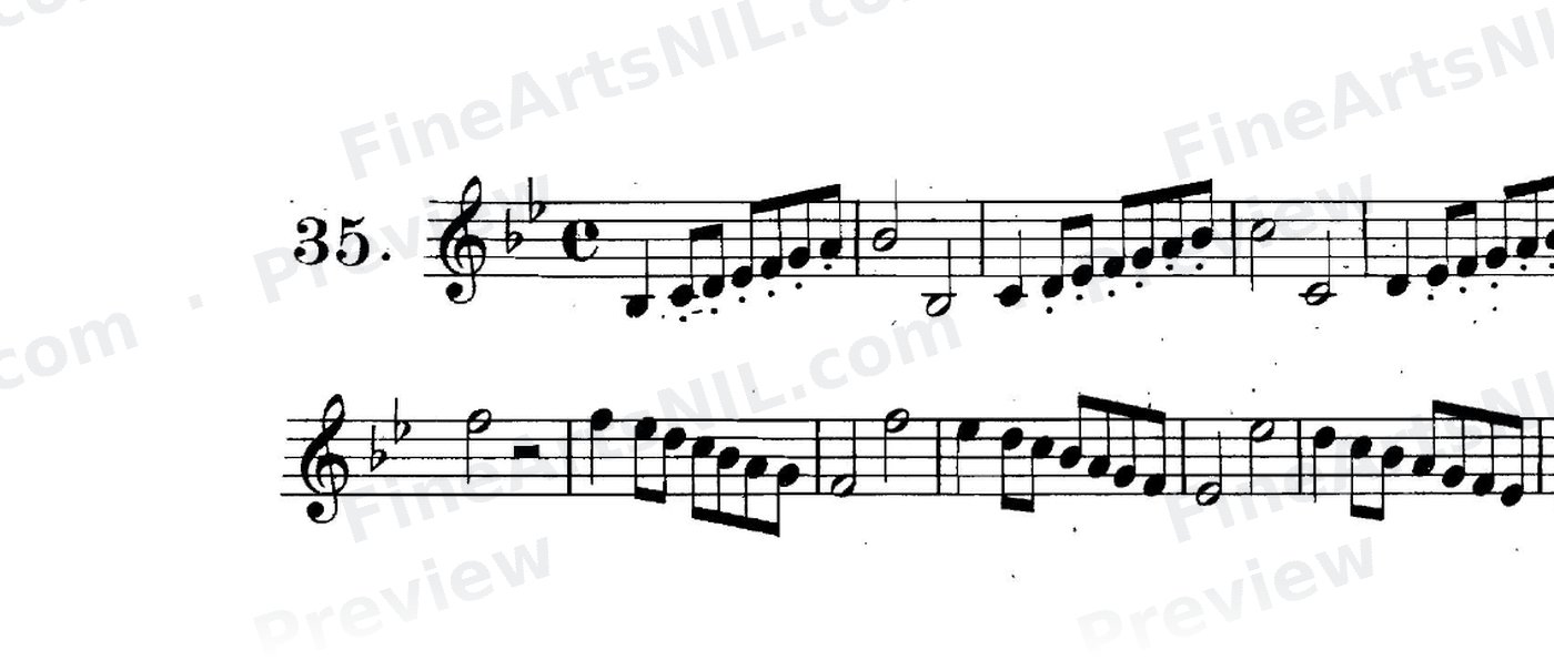 First Studies / No. 35
