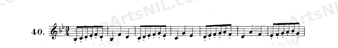 First Studies / No. 40