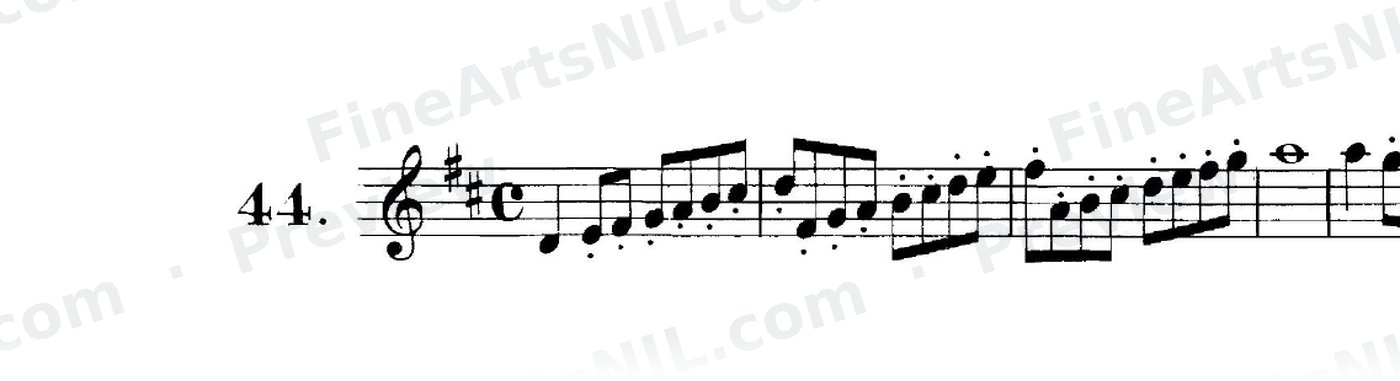 First Studies / No. 44