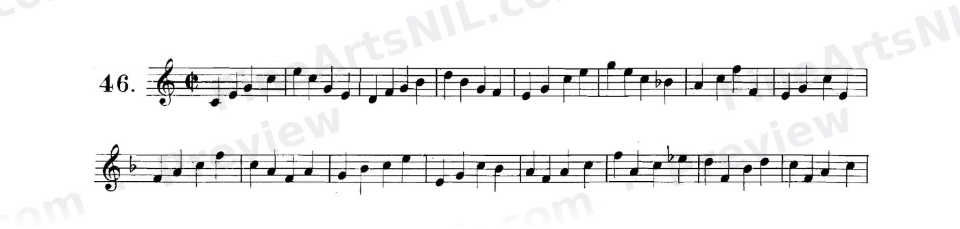 First Studies / No. 46