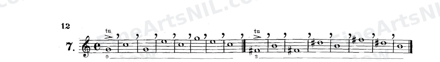 First Studies / No. 7